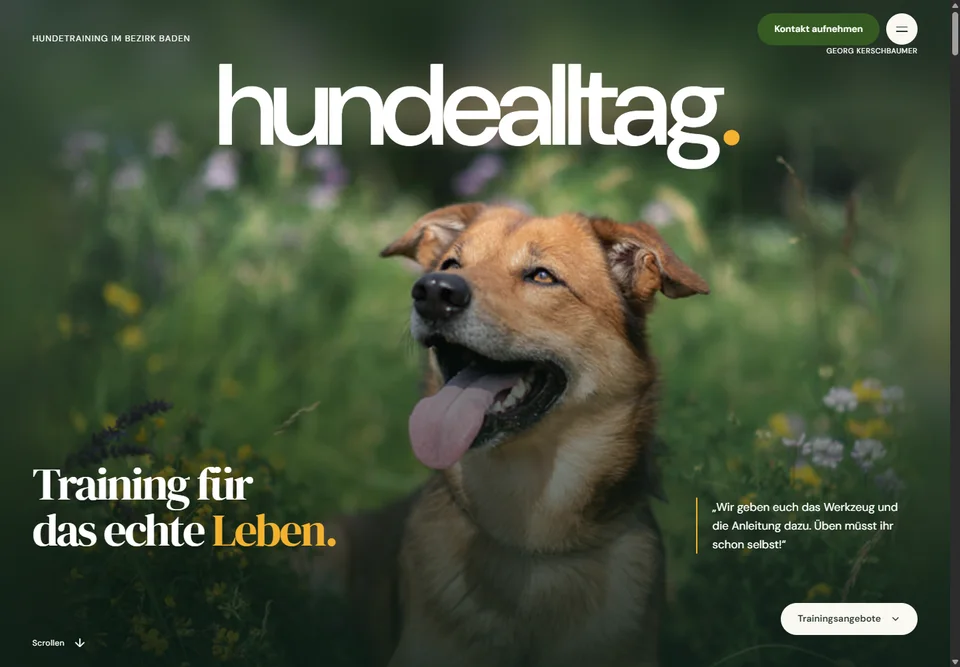 Startseite von Hundealltag